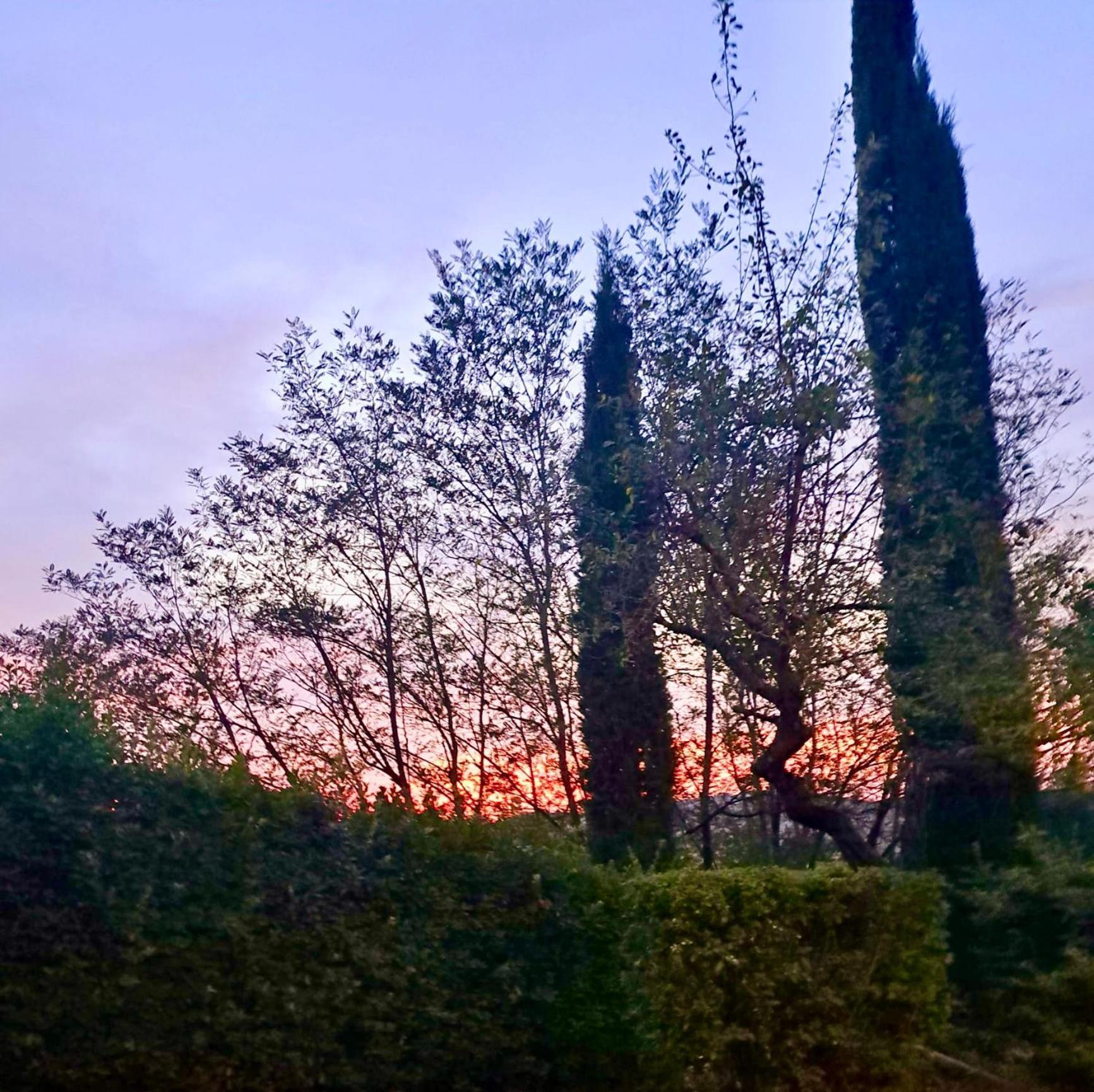 Agriturismo Caliano Asciano Luaran gambar