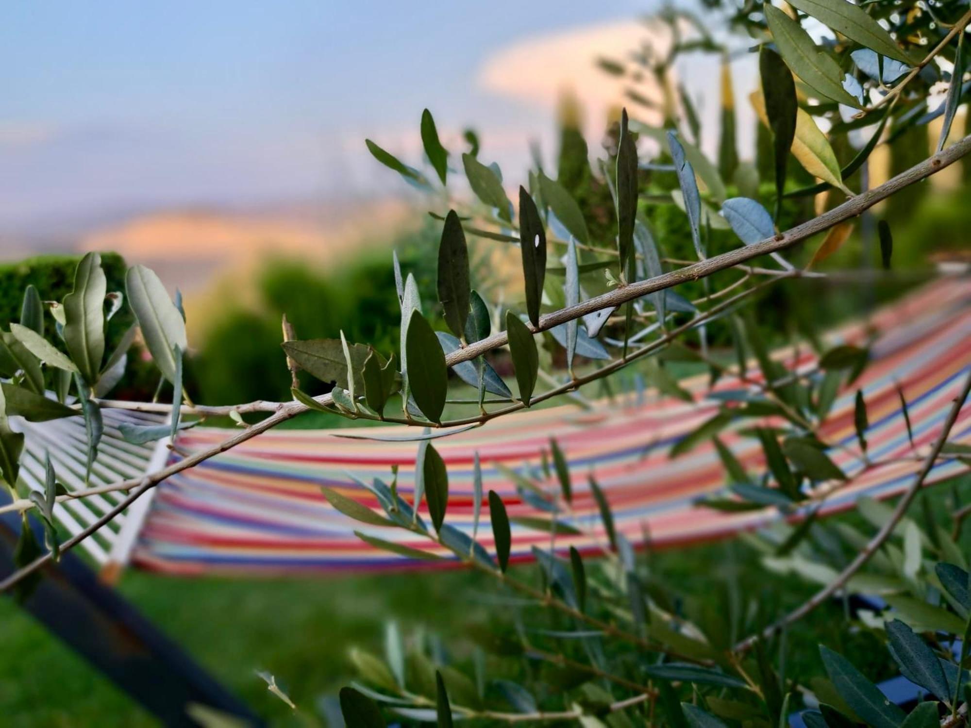 Agriturismo Caliano Asciano Luaran gambar